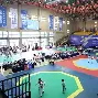  跆拳道赛场再起风云：关东鲨队队险胜陇右独角兽队，赛场气氛火爆冲刺阶段不容有失