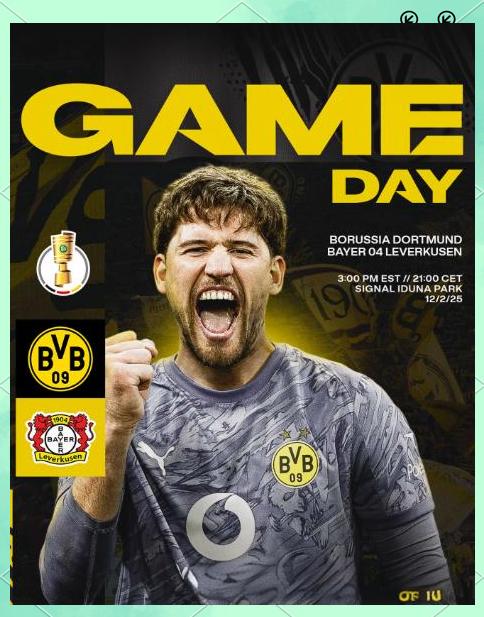 关键时刻德国杯焦点战，布莱顿豪取连胜，引发热议，赛程密集仍需轮换的简单介绍