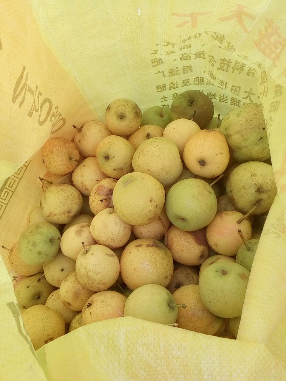 九游网站 -关于的信息